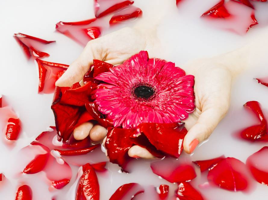 спа ритуал с маслом розы Минск, массаж горячими камнями, роскошь рубиновой розы