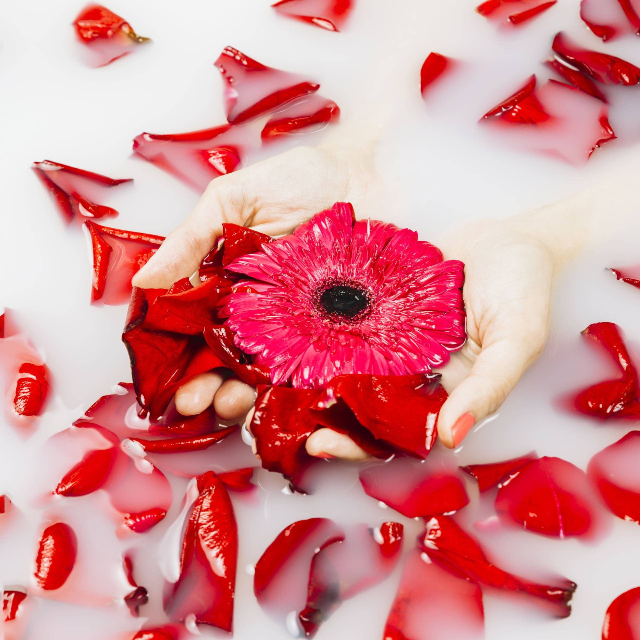 VIP- Ритуал «Роскошь Рубиновой Розы»